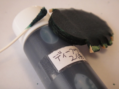 megane210.jpg(33319 byte)