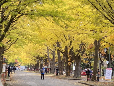 kouyou01.jpg(97079 byte)