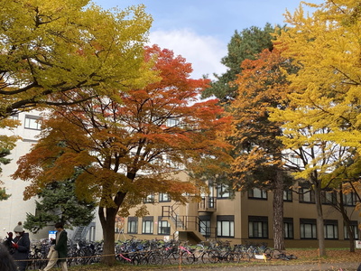 kouyou02.jpg(94131 byte)