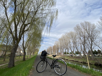 sakura04.jpg(75990 byte)