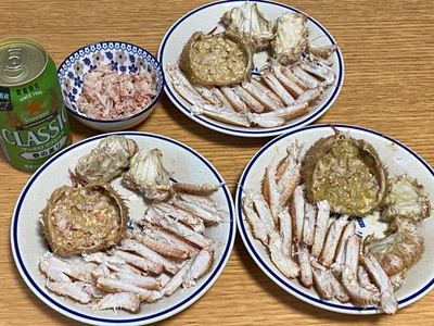sakura204.jpg(89684 byte)
