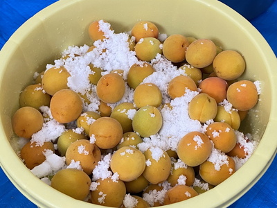 ume03.jpg(66516 byte)