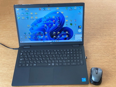 dell3520.jpg(59165 byte)